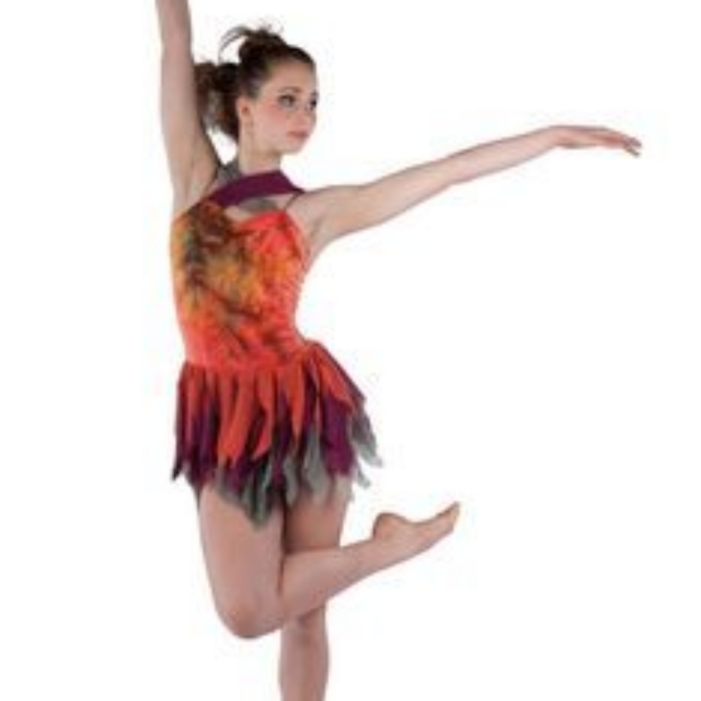 Dansco Firebird Dance Outfit